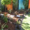 Garden-rescue-plants-for-vertical-gardens-018